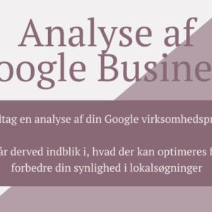 analyse af din google business profile